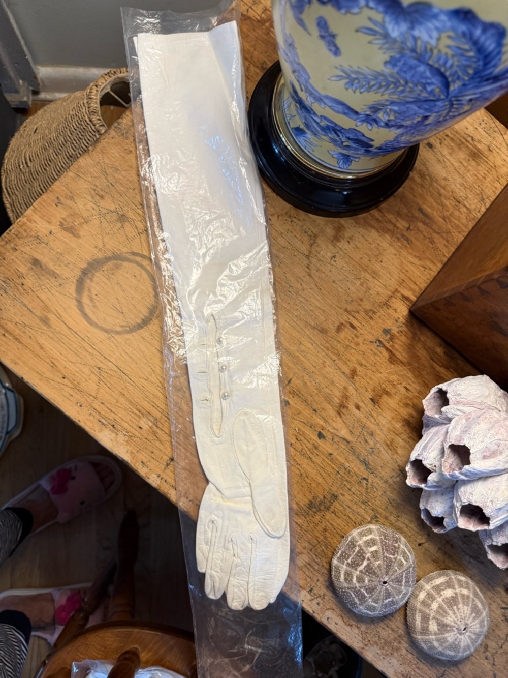 Classic Long Women's Gloves in Ivory